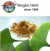 Ginkgo Biloba Powder Extract