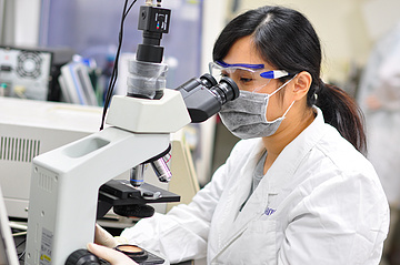 Contract Development and Manufacturing Organization (CDMO)  