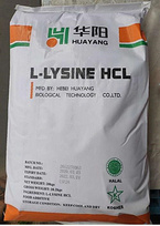 L-LYSINE HCL