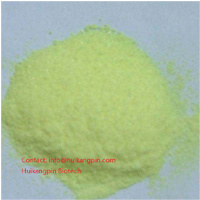 Rutin NF11, Rutoside Trihydrate, 95% Rutin;Sophora Japonica Flower Bud Extract