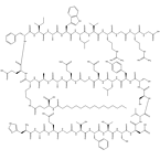 Liraglutide