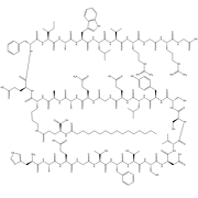 Liraglutide