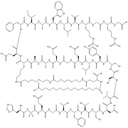 dulaglutide