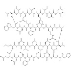 Teduglutide