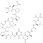 pentapeptide