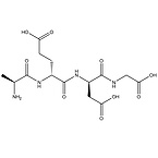 Epitalon, Glycine