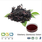 Elderberry (Sambucus) Extract