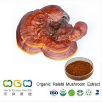 Organic Reishi Mushroom Extract