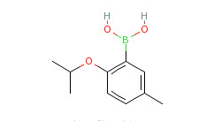 1-Isopropylpyrazole-5-boronic Acid