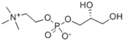 GPC