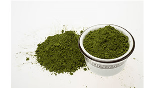 Chlorella