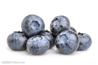 European Bilberry Extract，Rhodiola Rosea Extract ，Feverfew Extract ，Marshmallow Root Extract，Elderbe