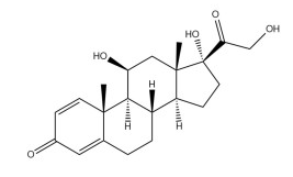 Prednisolone