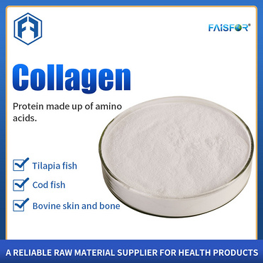 Collagen Powder Pharmaceutical Bovine Collagen Material Collagen