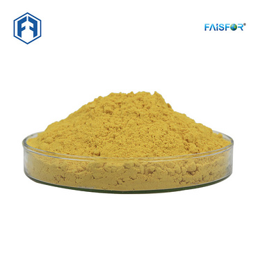 Natural Foods Coloring Turmeric Root Extract with 40% Curcuminoids