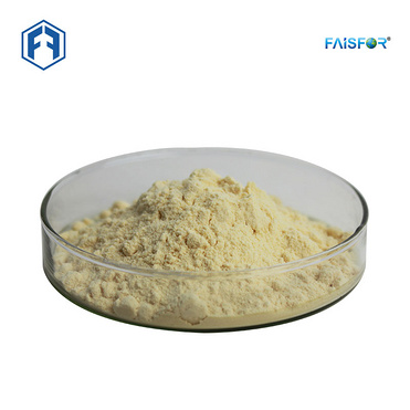 100% pure Garlic Extract Allicin powder