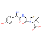 Amoxicillin