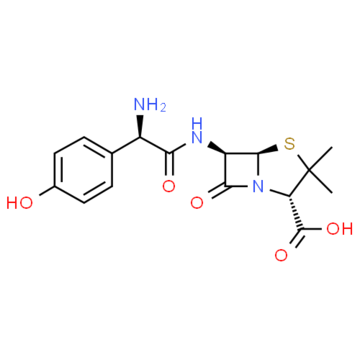 Amoxicillin  
