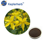 St. John’s Wort. Extract 0.3% Total Hypericin