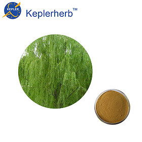 white willow bark extract 50% salicin