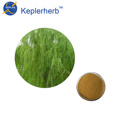 white willow bark extract 80% salicin
