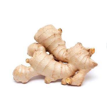 Ginger Extract  5% gingerol