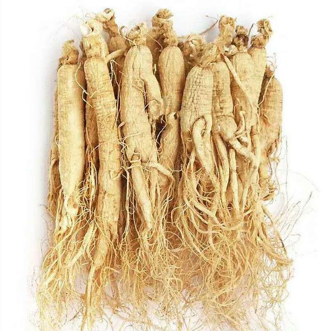 Ginseng Panax Extract  