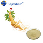 Ginseng Panax Extract leaf