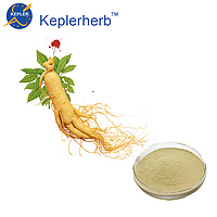 Ginseng Panax Extract