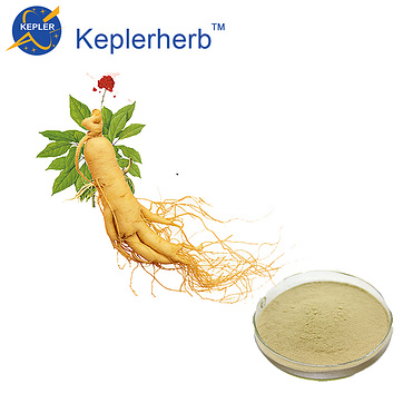 Ginseng Panax Extract leaf