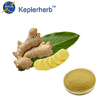 Ginger Extract 1% gingerol  water soluble
