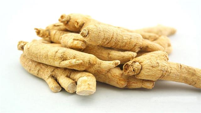 American Ginseng Extract  