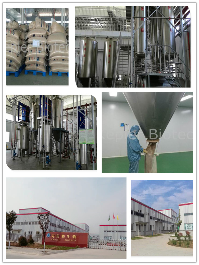 olive leaf extract 10% Oleuropein  