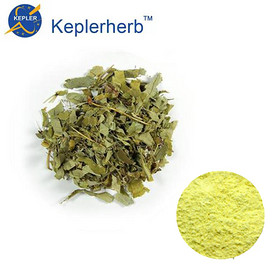 Epimedium Extract  98% Icariin