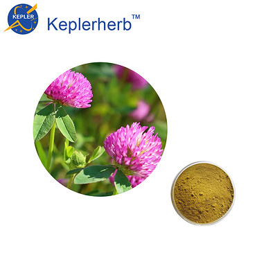 Red Clover Extract 40%isoflavones by HPLC