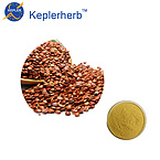 ziziphi seed extract