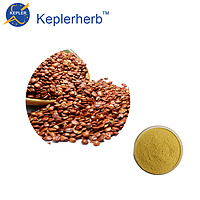 ziziphi seed extract