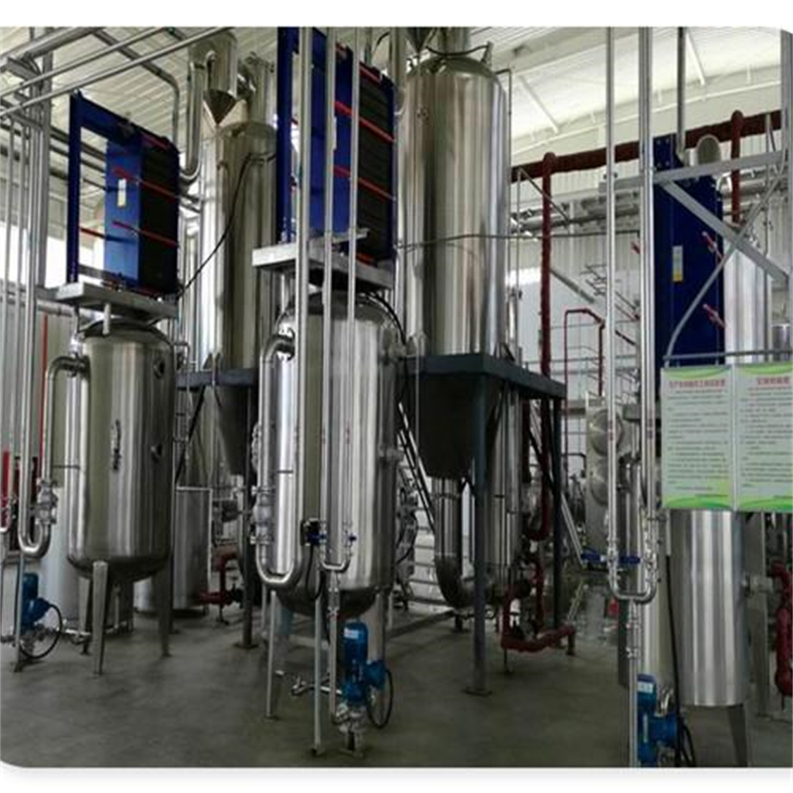 Olive Leaf Extract 10:1  