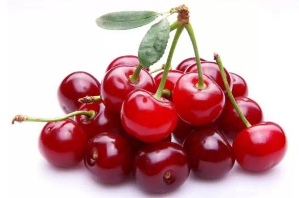 Tiger's Tail Cherry Powder 17% Vc  