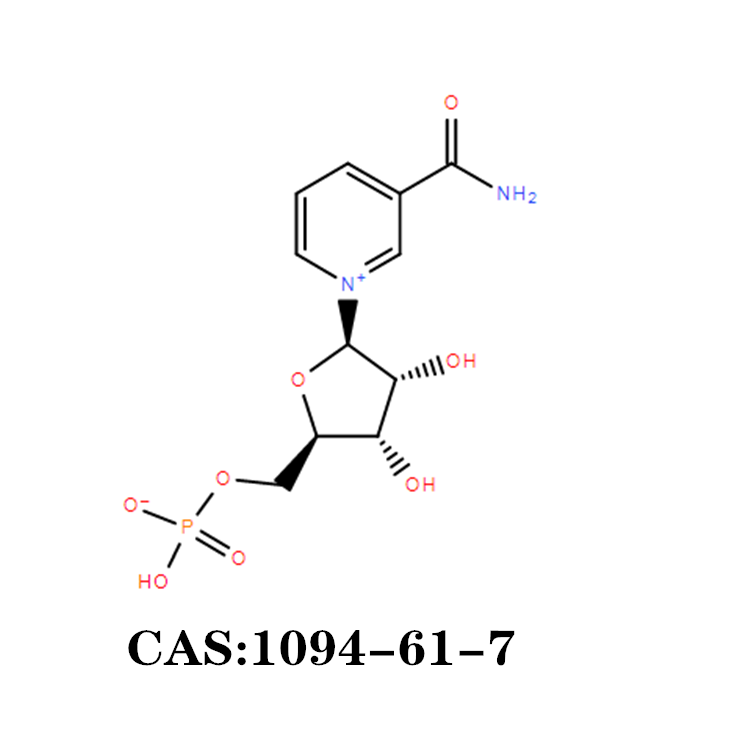 BETA-Nicotinamide Mononucleotide NMN  