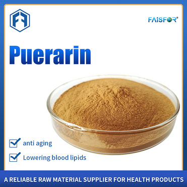 Radix Puerariae Lobatae Extract 40% 80% Isoflavone Puerarin