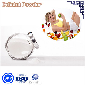 Orlistat Powder