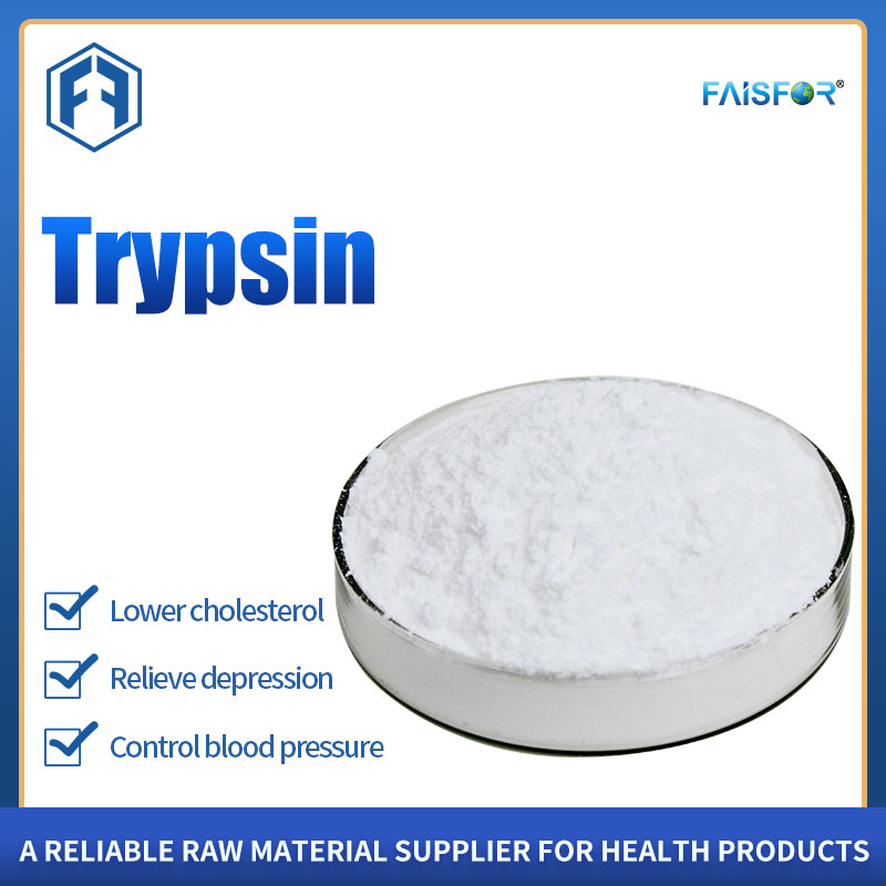 From China Wholesale Supplier Trypsin Powder