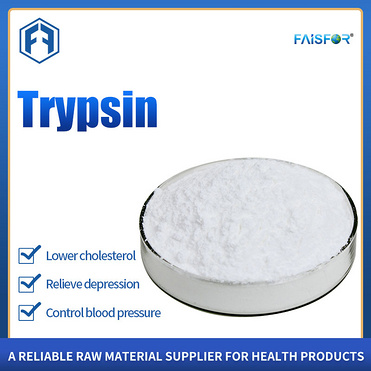 Pharmaceutical Intermediate Trypsin Powder with Bulk Price