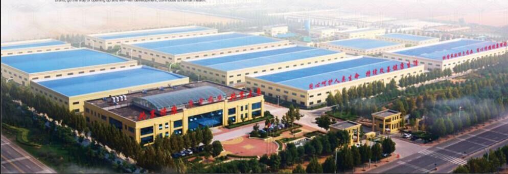 Shandong Luning Pharmaceutical Co. , Ltd.