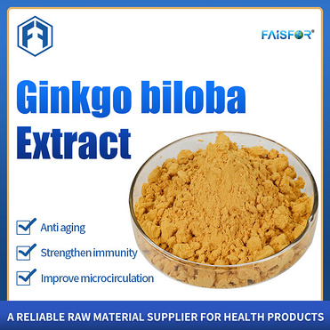 Supply 100% Natural Ginkgo Biloba Leaf Extract Powder