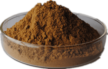 Tribulus terrestis Extract