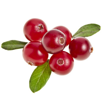 Cranberry Extract