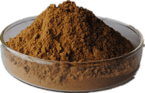 Cassia seed extract