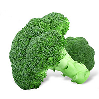 Broccoli Extrac